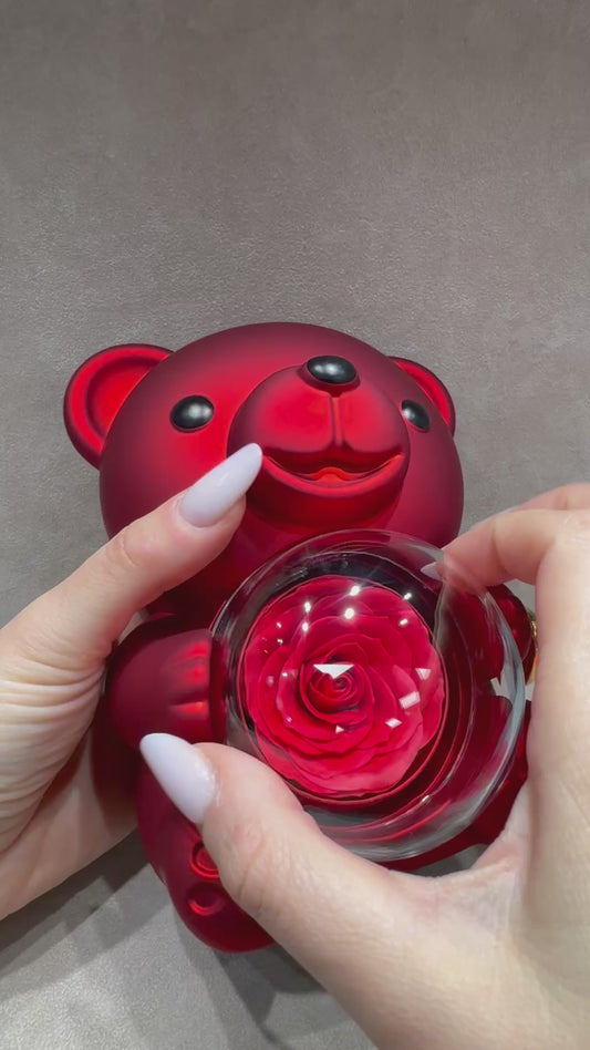 Scatola Teddy